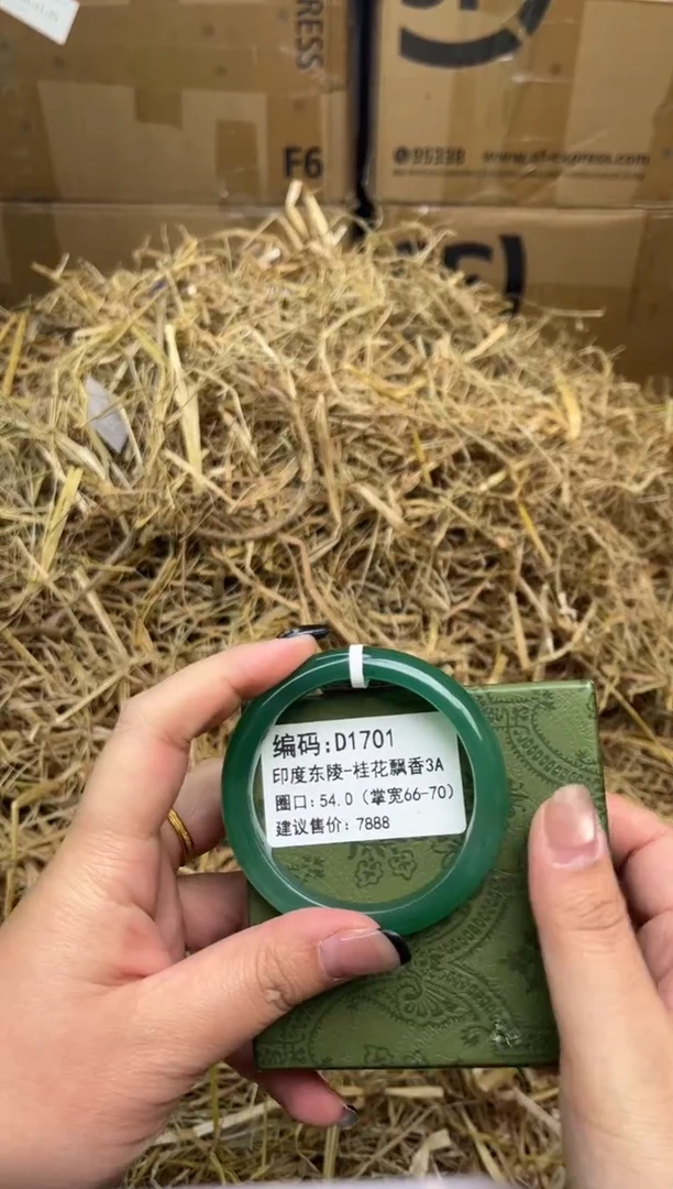 未镶嵌手镯石英质玉D1701-54