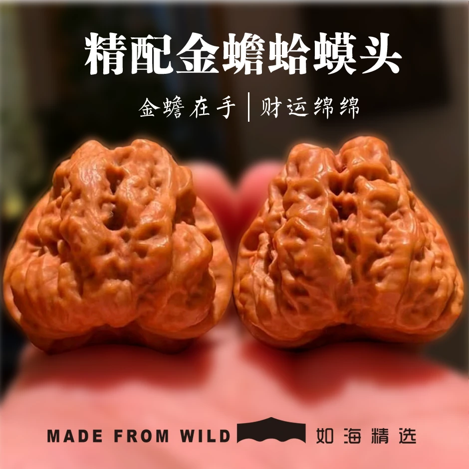 文玩核桃蛤蟆头精品文玩延庆怀柔蛤蟆头新手体验练手对