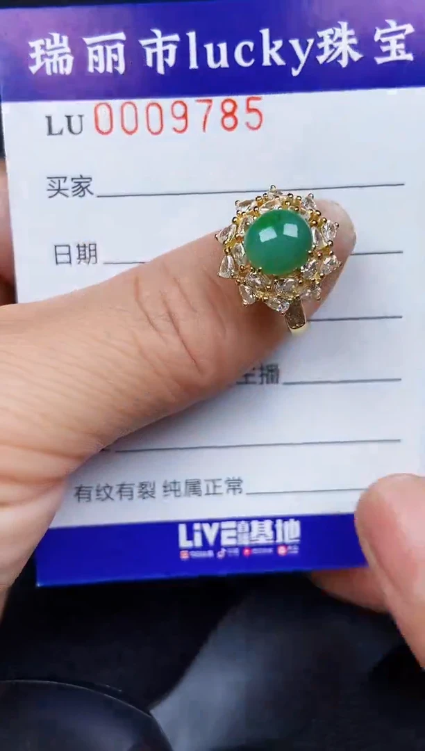 翡翠银S925镶嵌颈饰9785