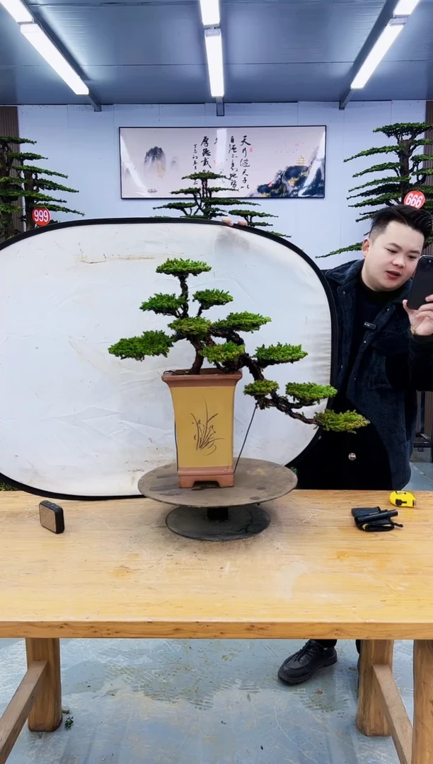 以实际为准种*000000000000