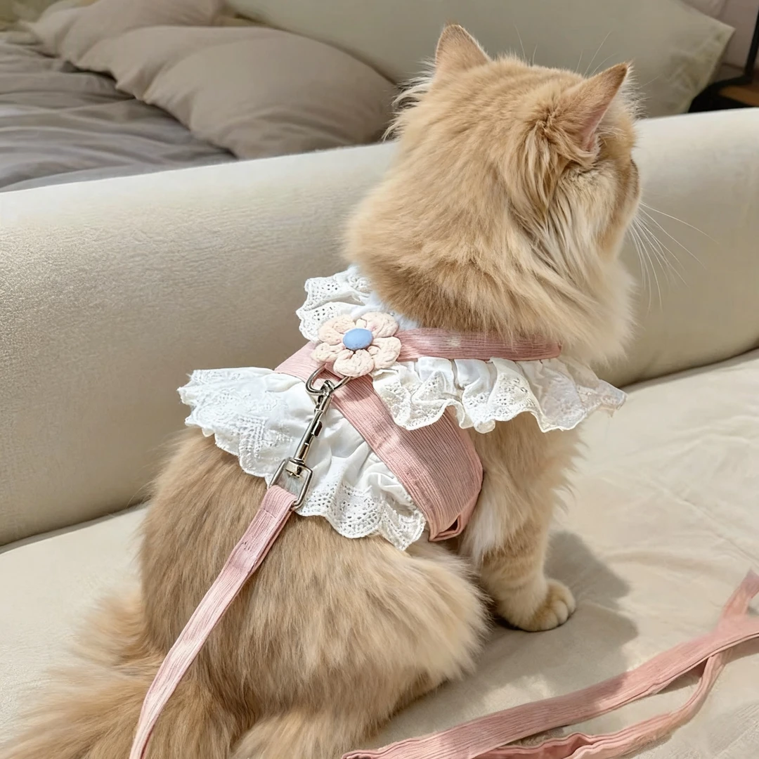 猫咪牵引绳可爱JK风可调节防挣脱渐层美短布偶宠物出行猫狗通用绳
