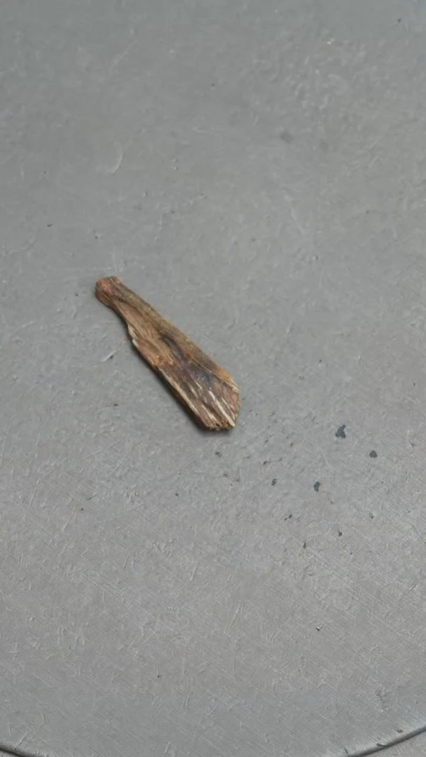 【闪购商品】沉香吊坠沉水芽庄沉香白奇楠0.8克随型挂件