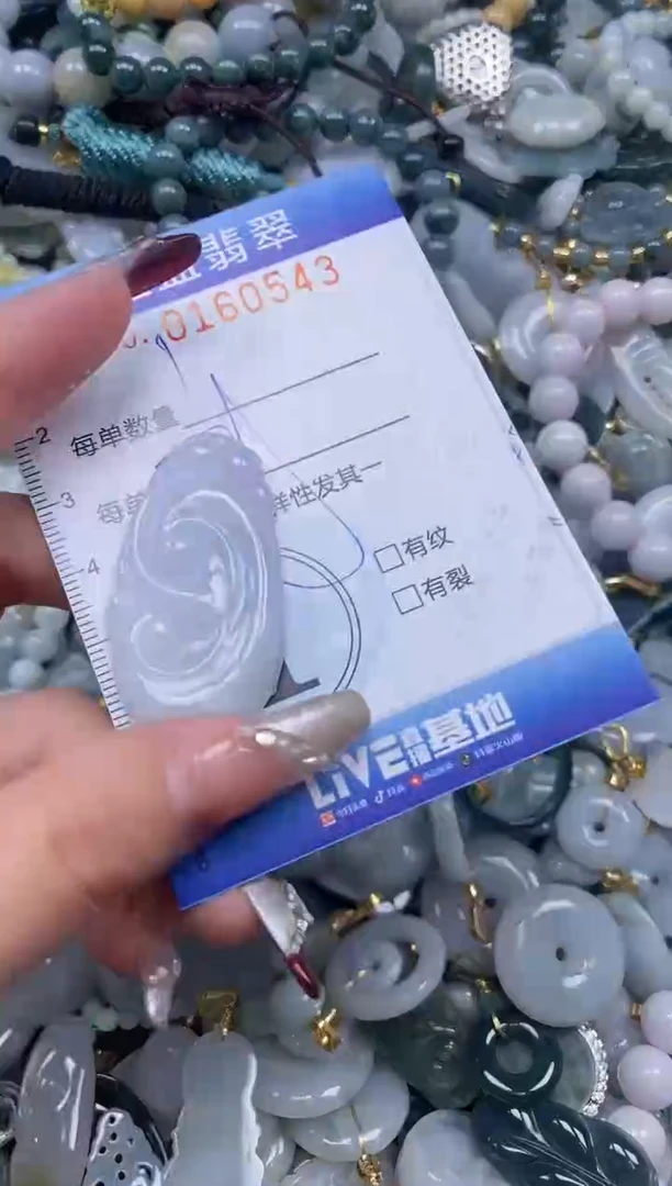 【闪购商品】翡翠颈饰未镶嵌闪购0160543多样性发其一