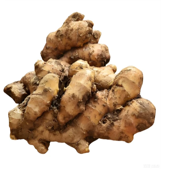 【常用调味】新鲜子姜约300g/份(以门店实物为准）