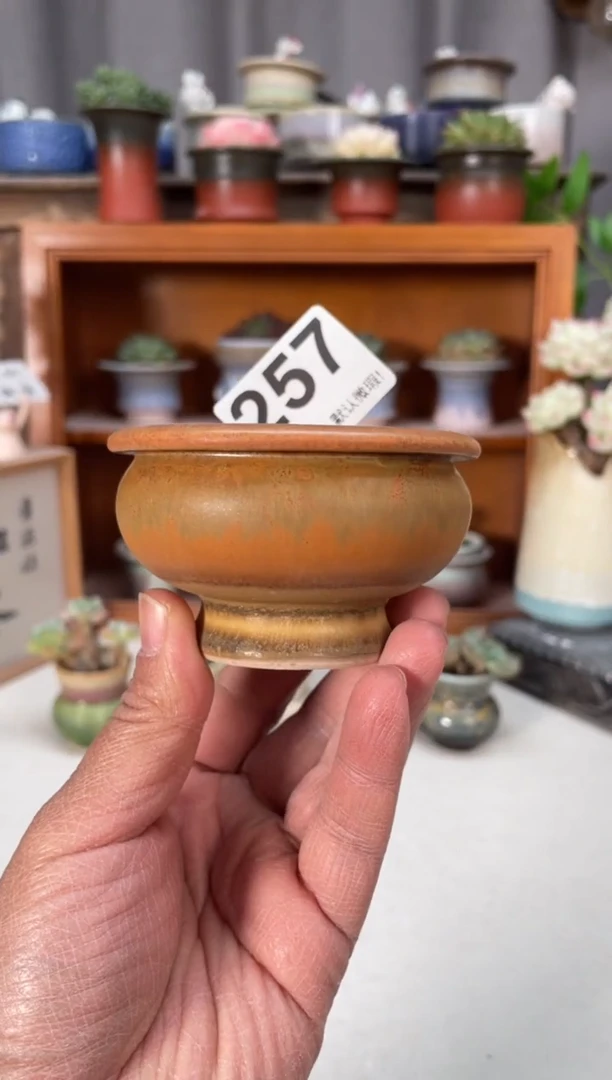 瓷片257知木小芳花盆编号