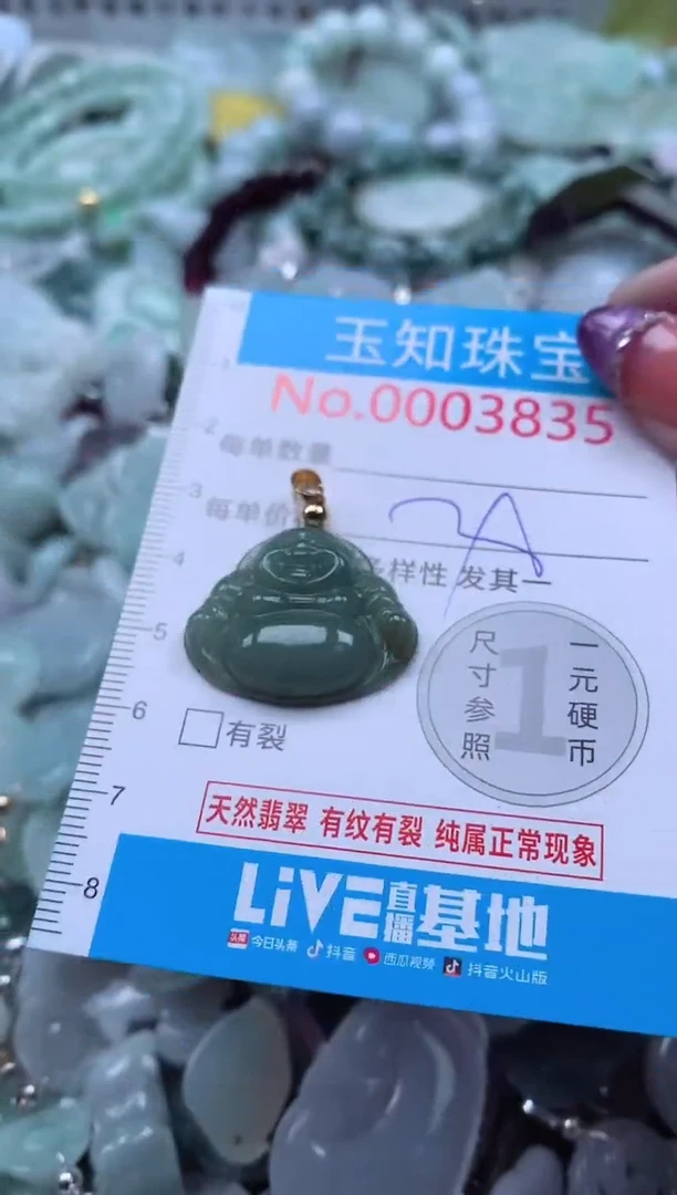 翡翠未镶嵌吊坠(不含链)3835