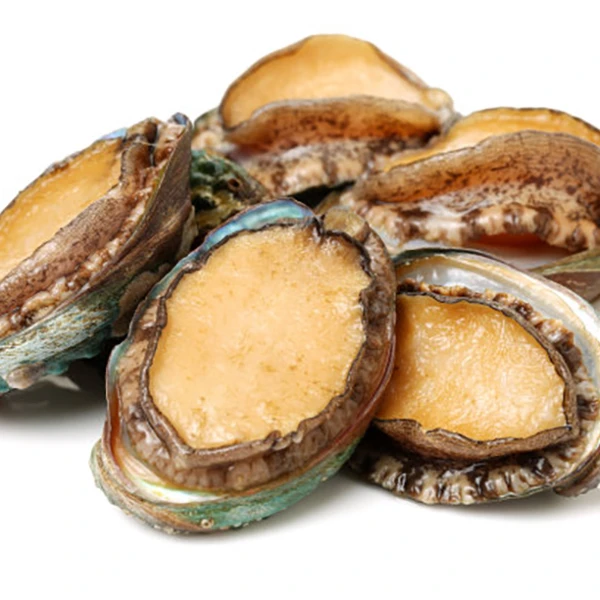 鲜活6头鲍鱼（5只）