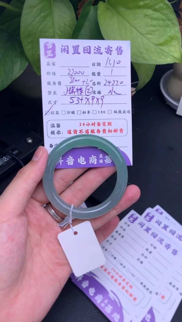 未镶嵌手镯翡翠手镯