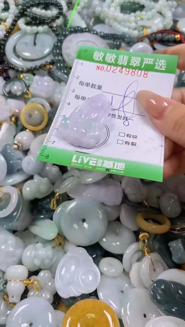 翡翠未镶嵌颈饰闪购0249808