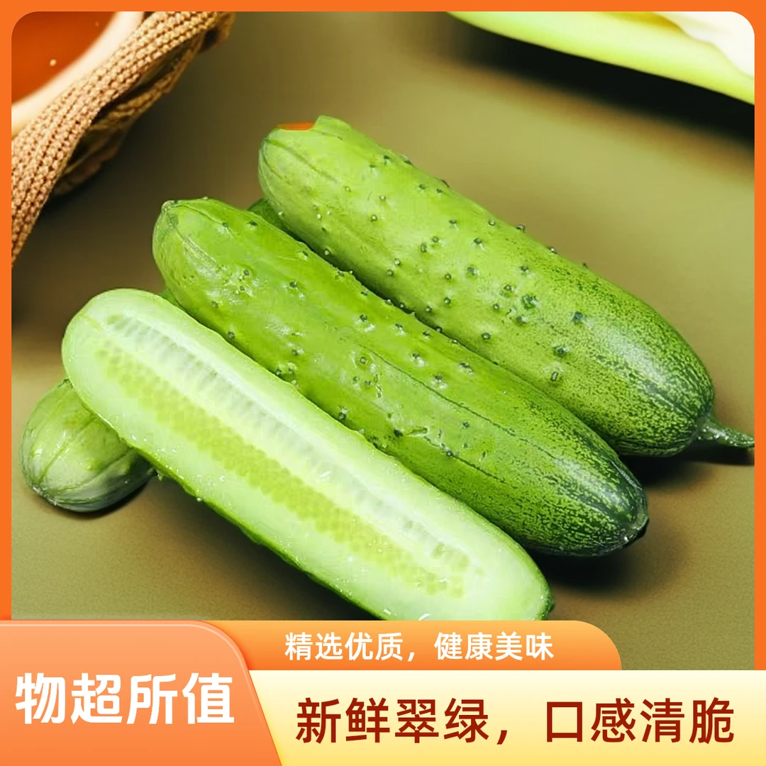 东北农家自重小旱黄瓜清香多汁脆嫩新鲜采摘