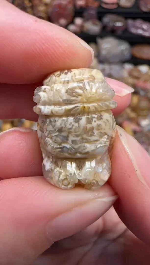 颈饰未镶嵌硅化珊瑚（珊瑚玉）307