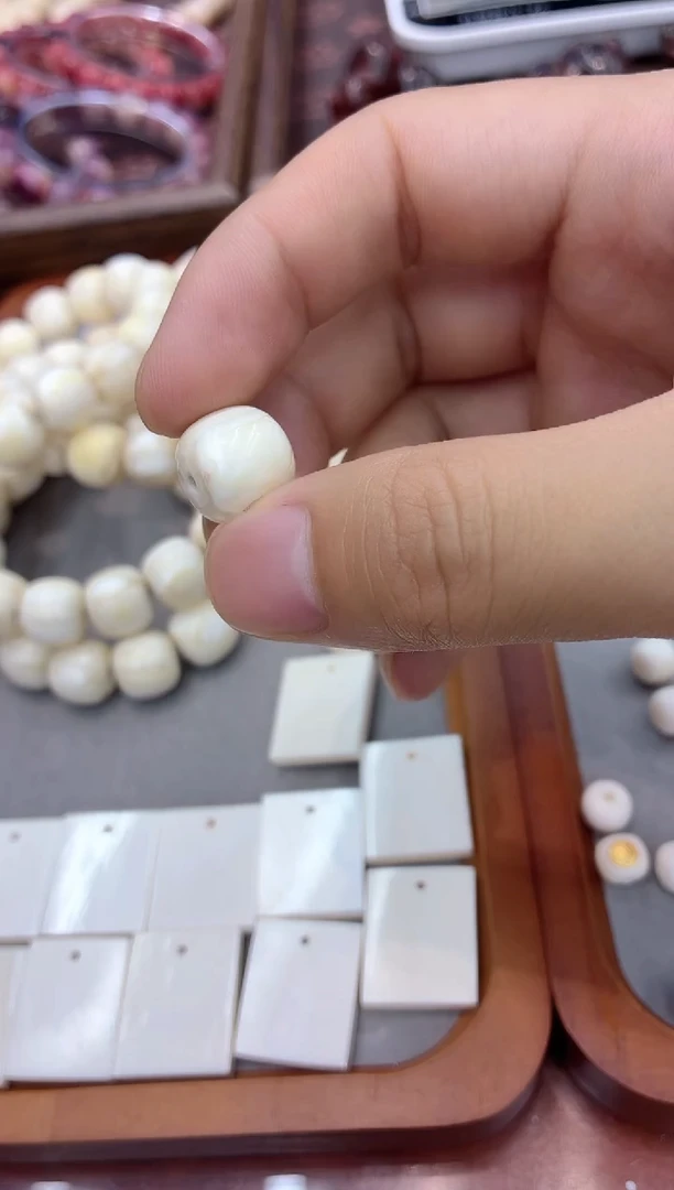 猛犸猛犸++++++74