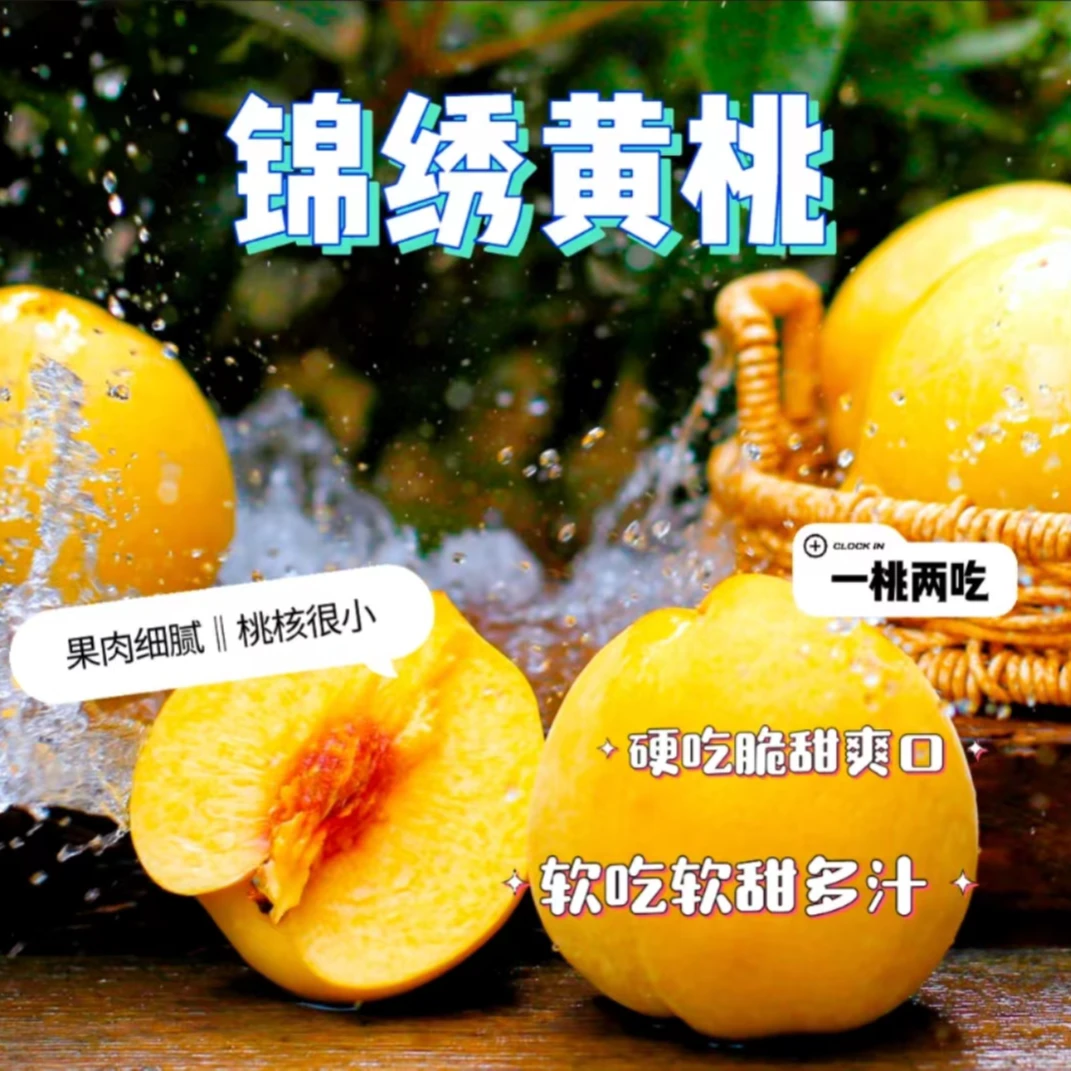 【伍帝兔】山东蒙阴锦绣黄桃软硬两吃甜毛桃整箱