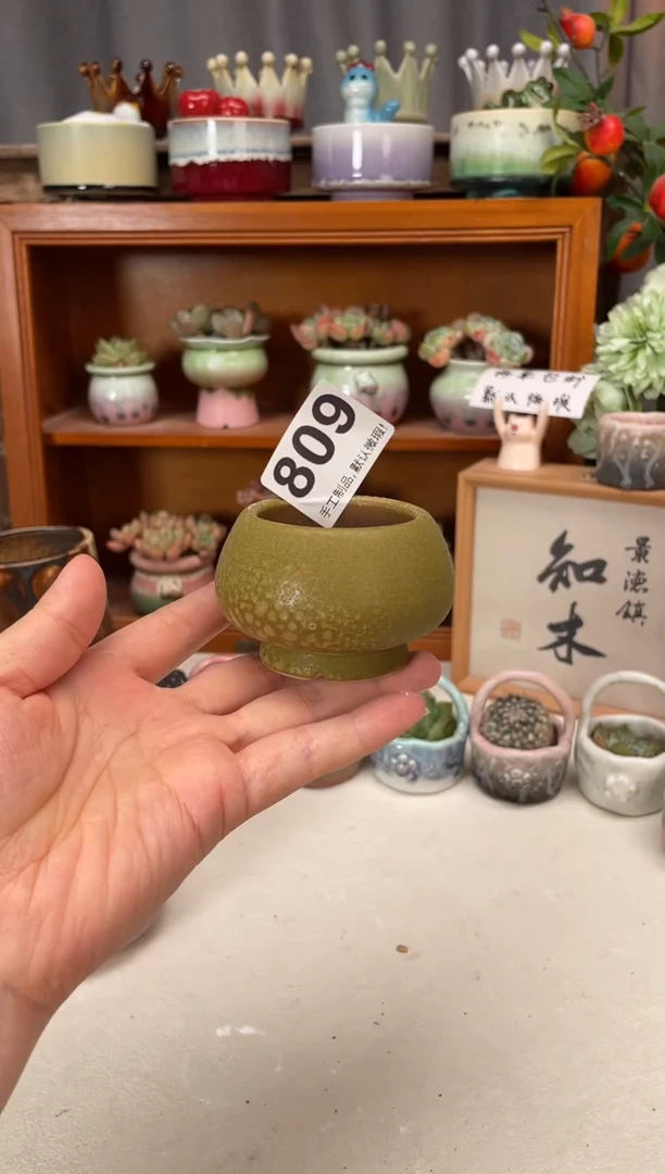 瓷片809知木小芳花盆直播编号
