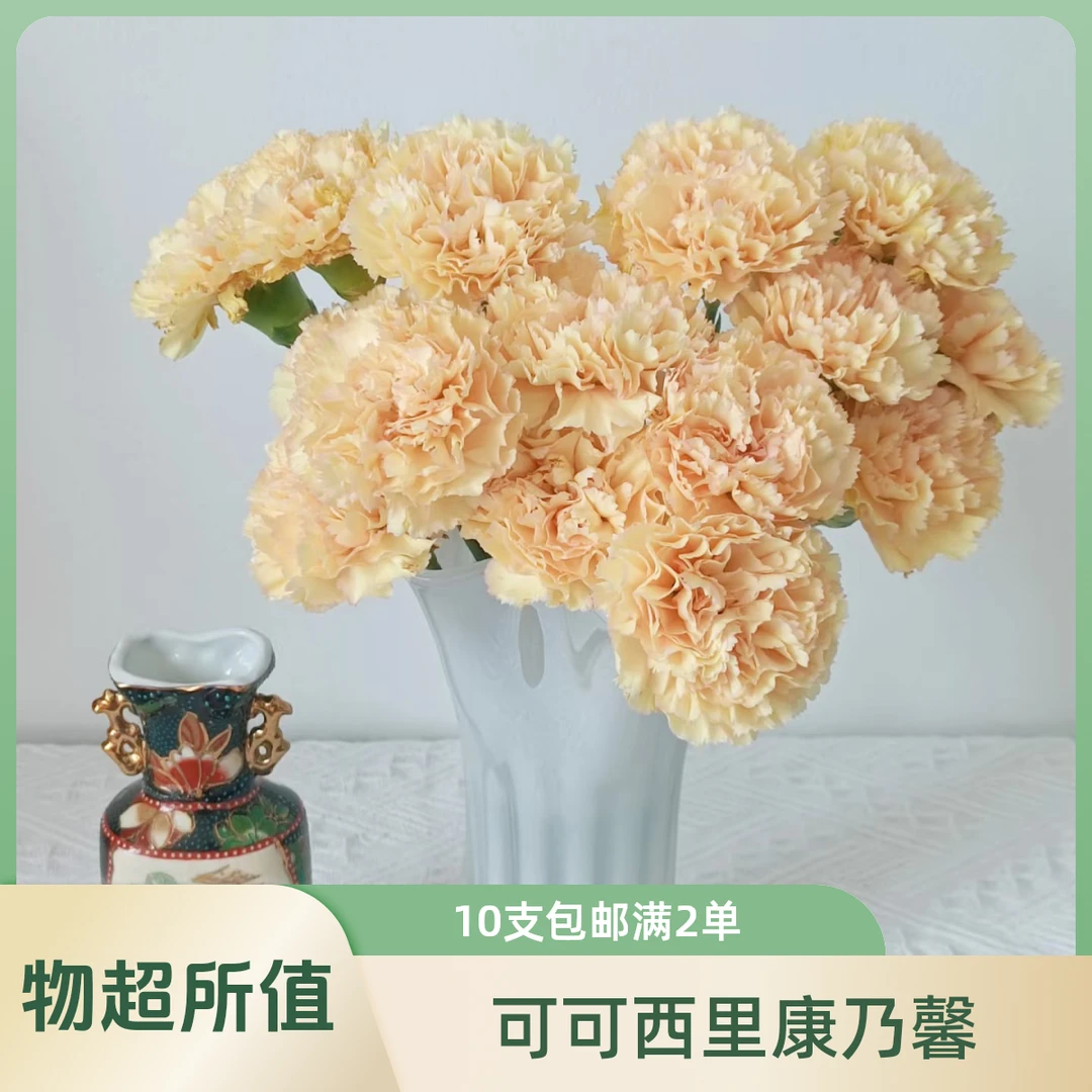 【香羿鲜花】可可西里康乃馨10支/全场任意满两单及以上包邮