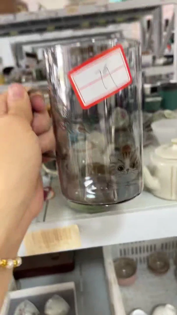 丽丽丽丽丽丽丽丽134