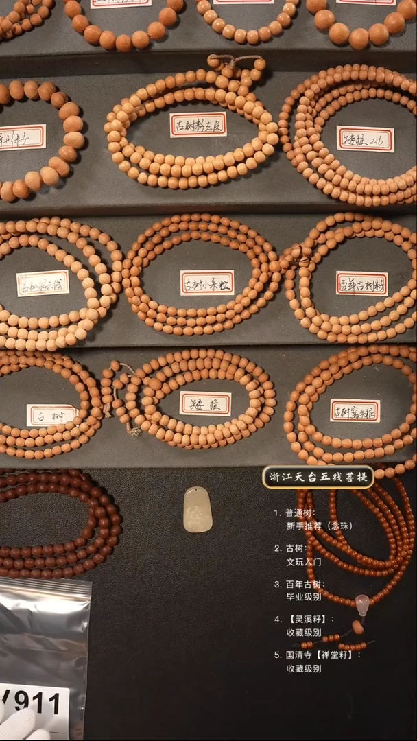 【闪购商品】五线菩提吊坠手串