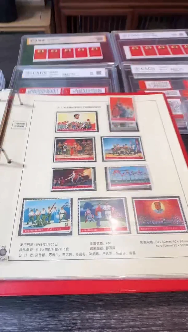 文5 封装鉴评收藏展示