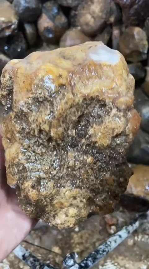 定制玛瑙奋**！原石782187