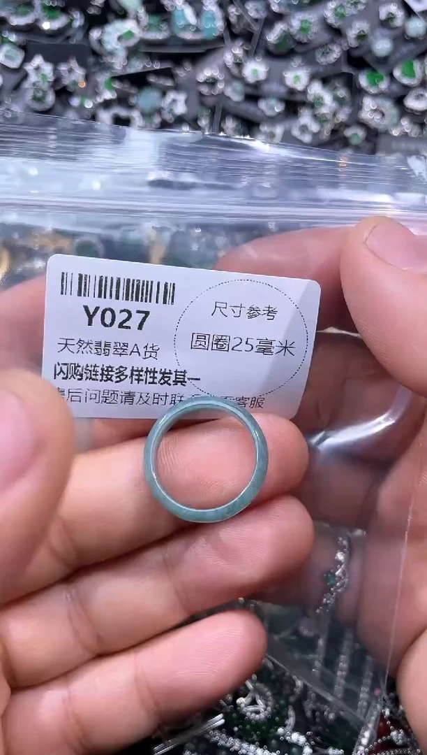 【闪购商品】翡翠颈饰未镶嵌Y027戒圈