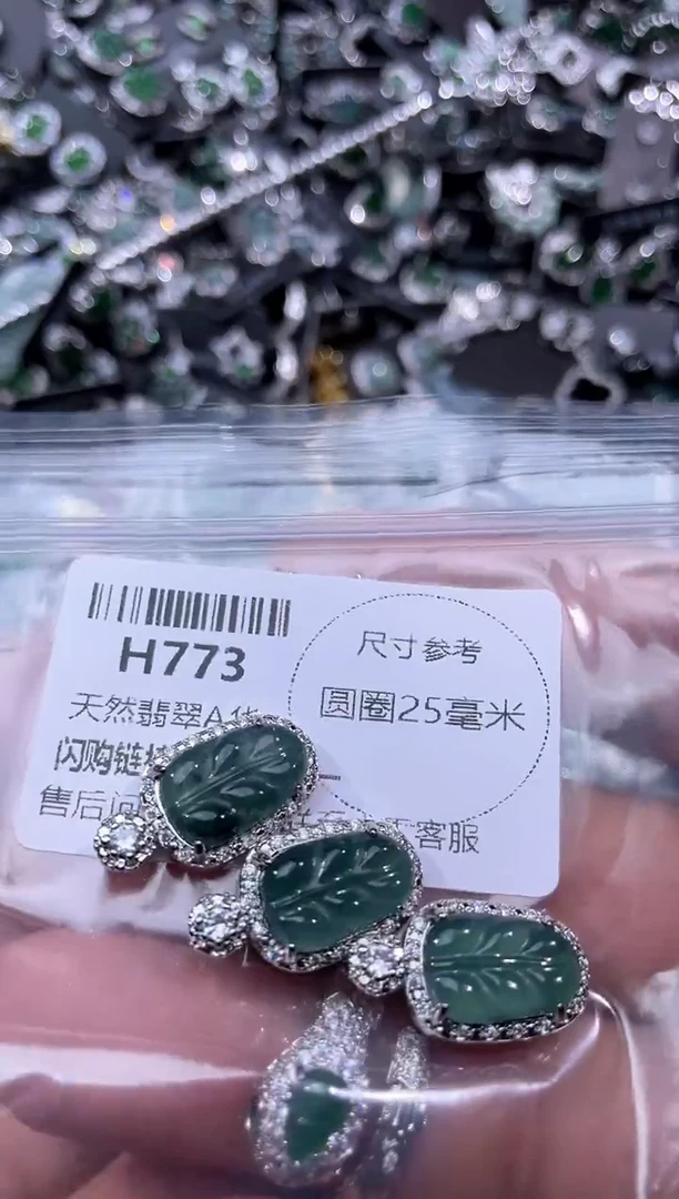 【闪购商品】翡翠颈饰未镶嵌H773多样性发其一