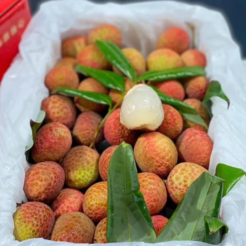 【新鲜头茬荔枝】海南桂花香鲜荔枝香甜爆汁2斤 顺丰京东包邮五月九号海南省