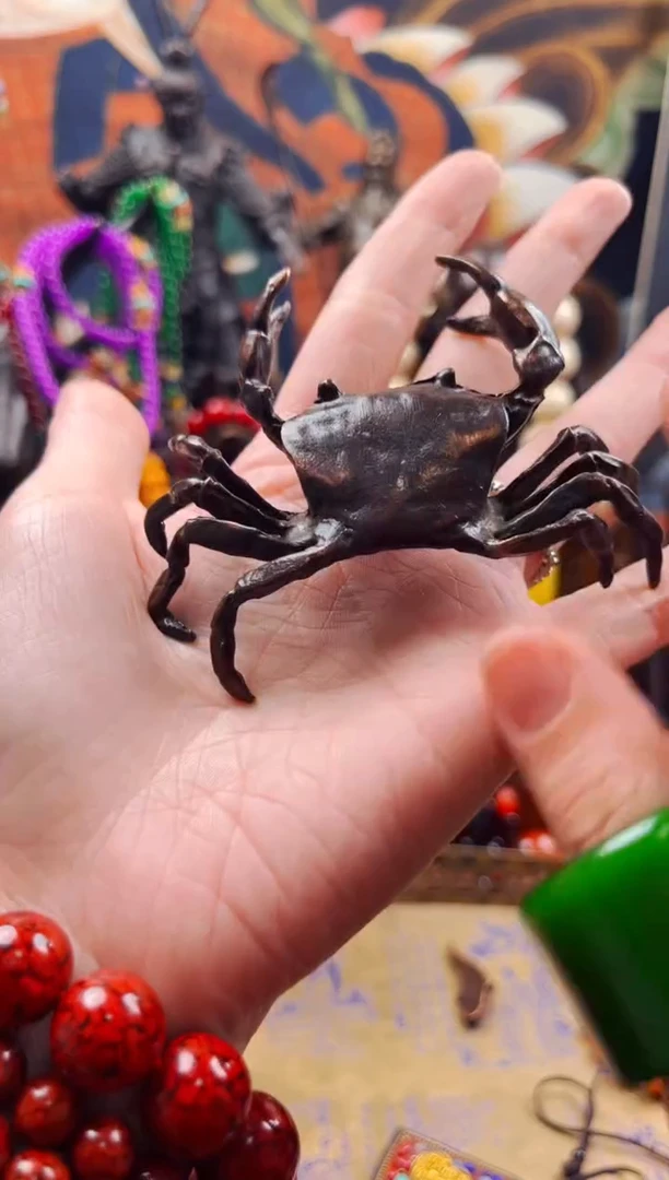 【闪购商品】飞姐专属精品推荐9