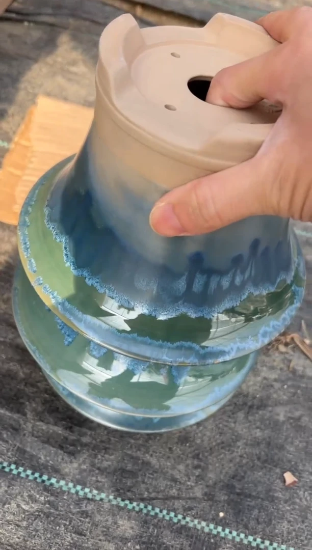 风***淡37号三个微瑕的