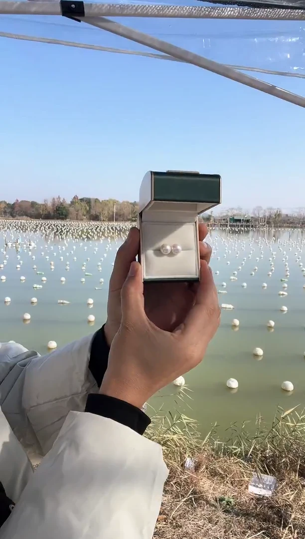 银S925镶嵌耳饰淡水珍珠9-10m 正圆 天然淡水珍珠