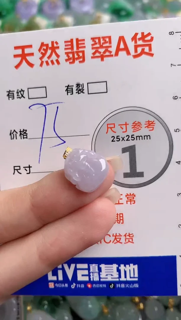 翡翠18K金镶嵌颈饰24000462
