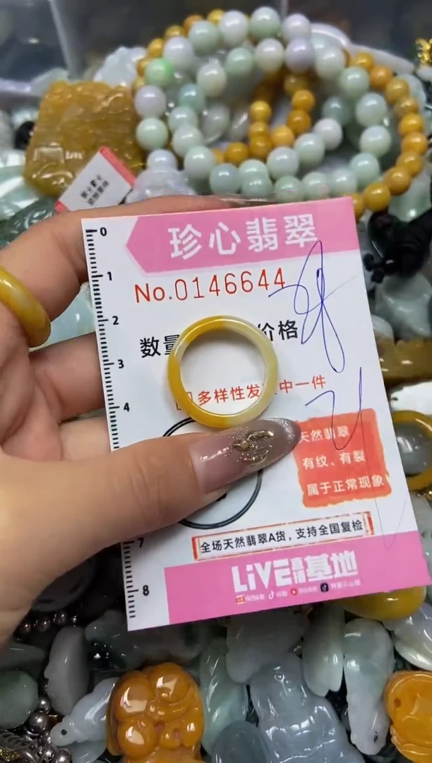 【闪购商品】翡翠颈饰未镶嵌闪购0146644