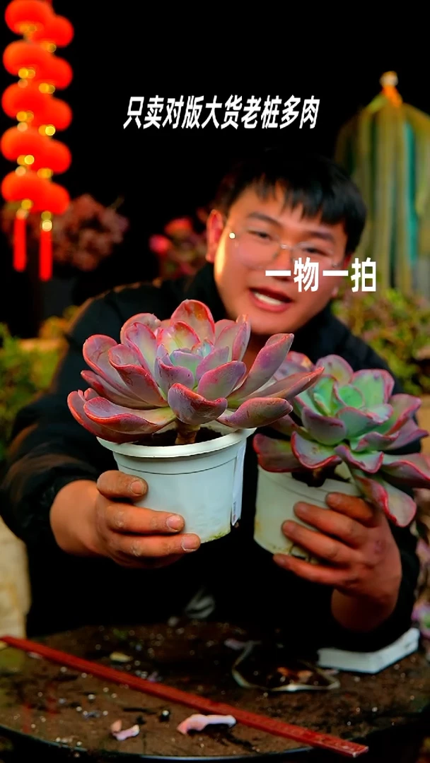 【闪购商品】冰火量拍直播间拿
