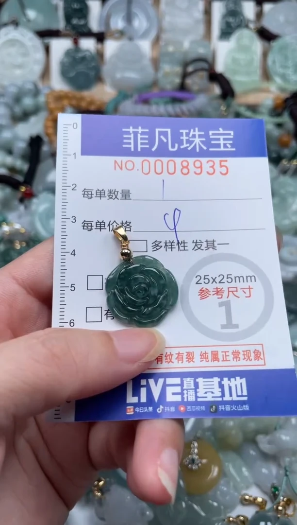 翡翠未镶嵌颈饰00..8935