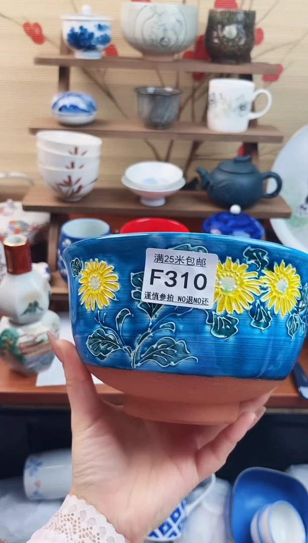 【闪购商品】f310==============