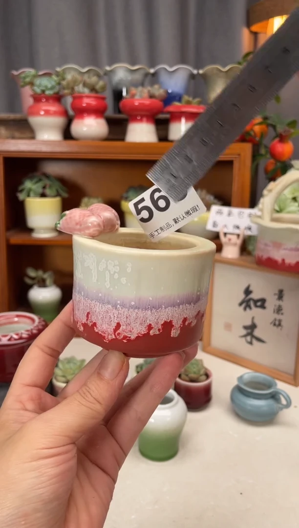 瓷片568小方直播编号