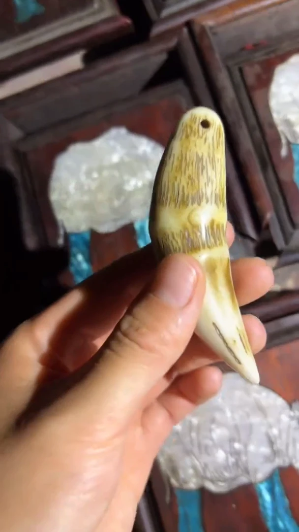 木哈哈哈哈哈哈哈哈下牙