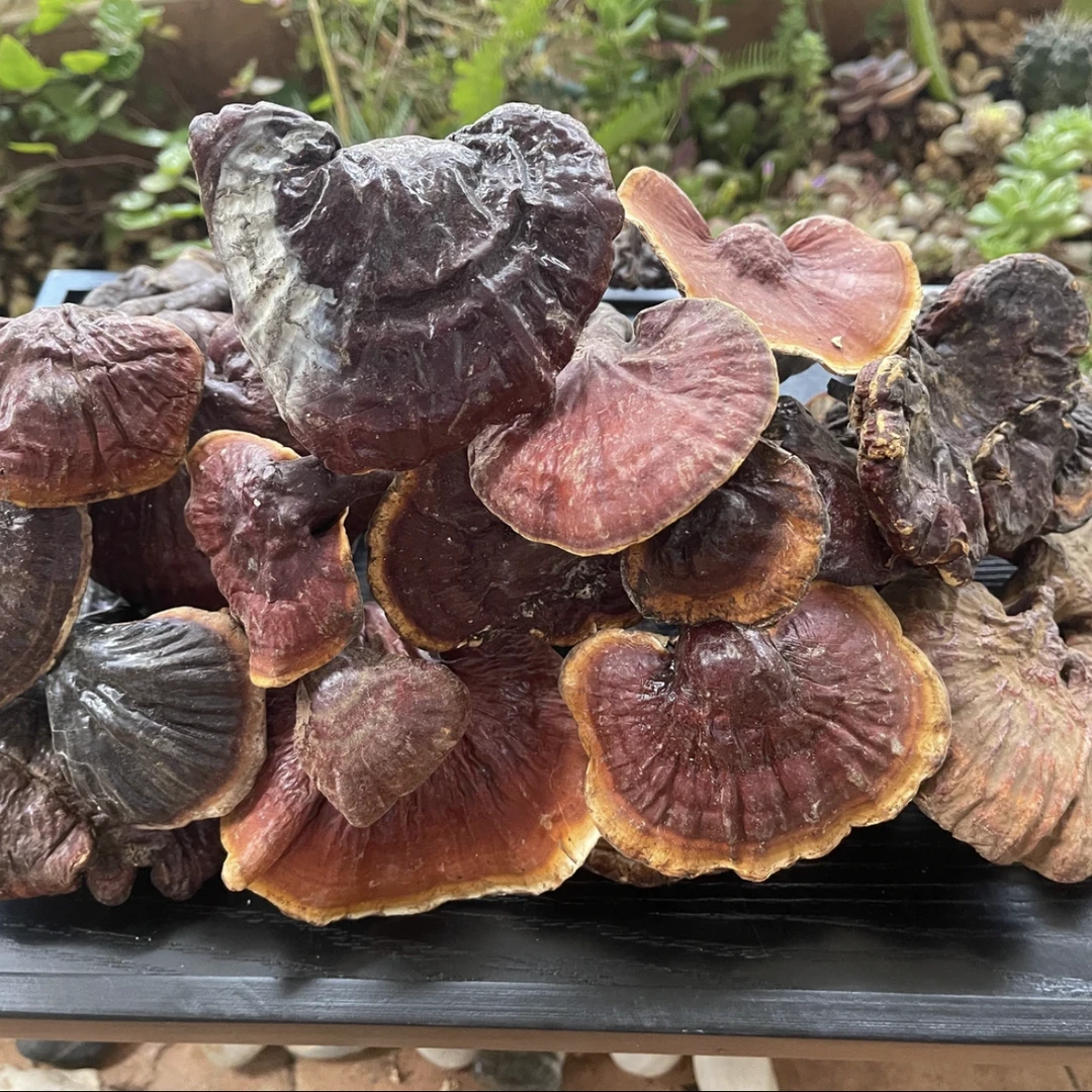（杰）初级农产品【白·肉·棂·枝】 250g 500g 可搭配枸杞泡水