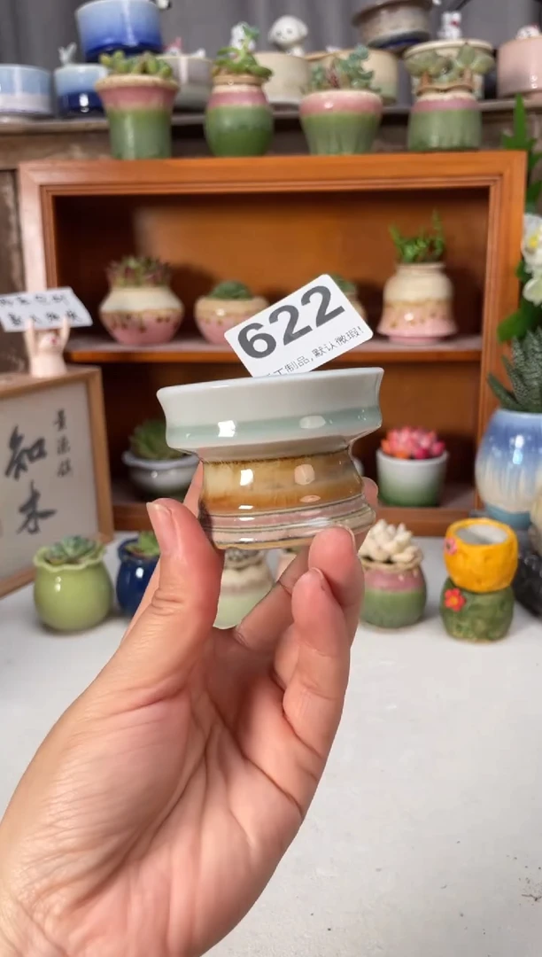 瓷片622知木小芳花盆直播编号