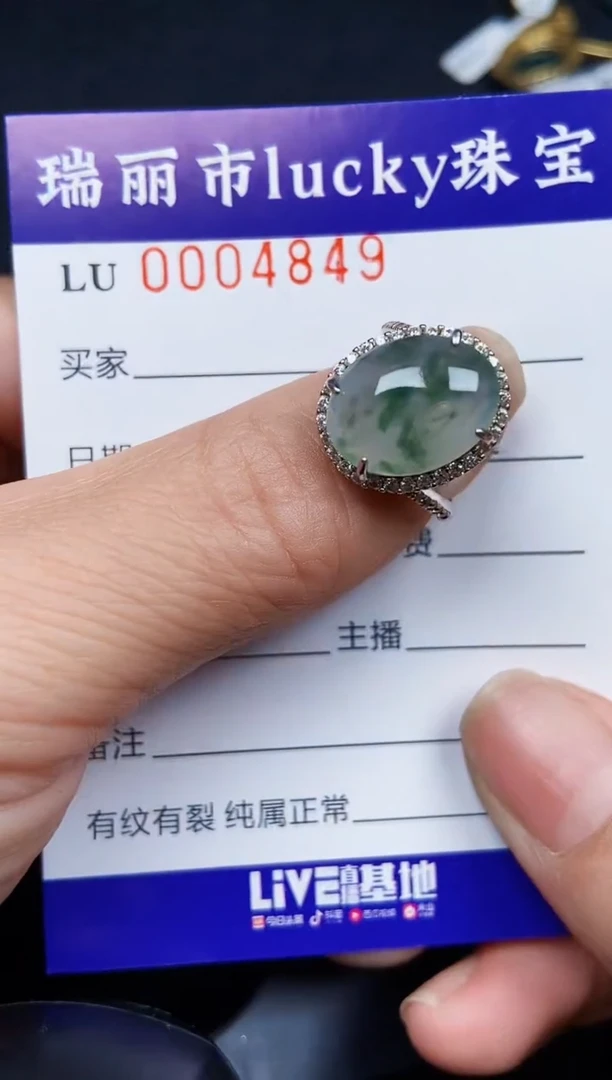 翡翠银S925镶嵌颈饰4849