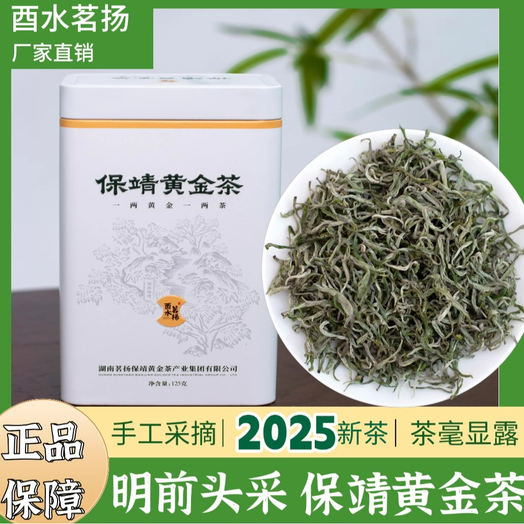 2025新茶湖南湘西保靖黄金茶特级1号头采春茶绿茶 芽头肥壮鲜甜