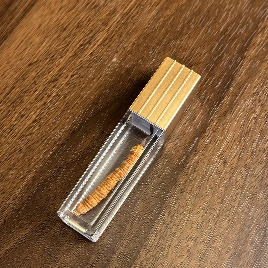 甄选正宗藏青0.4克冻干冬虫夏草滋补养生高品质靓货