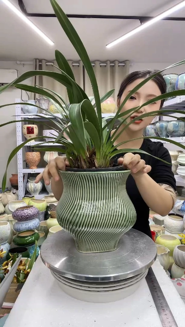 【12.31】花盆链接高：20  口：16