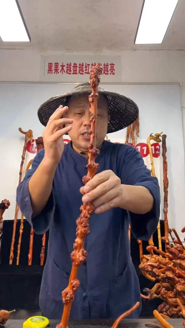 黑果木其他黑果木161