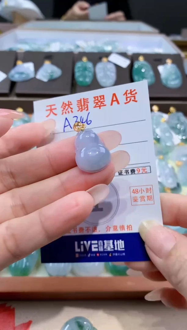 颈饰未镶嵌翡翠天然缅甸翡翠A货挂件