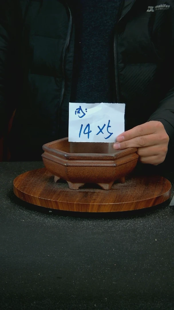 【闪购商品】紫砂V32