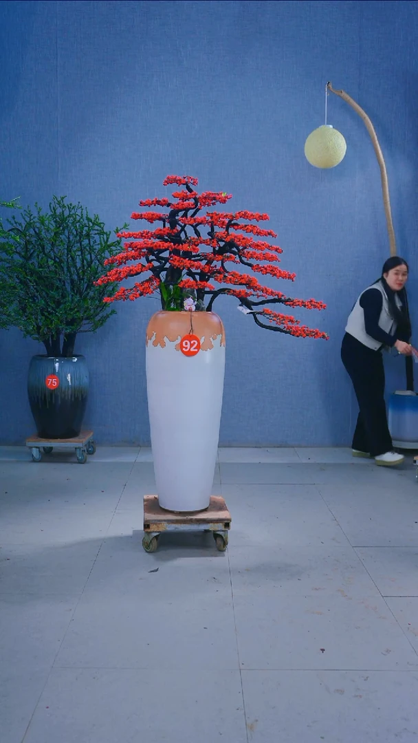 无花朵W****g92号盆链接