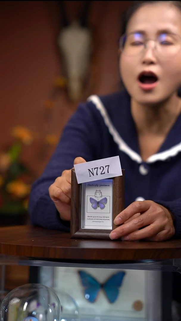 N727珍贵妩灰蝶木质冰箱贴