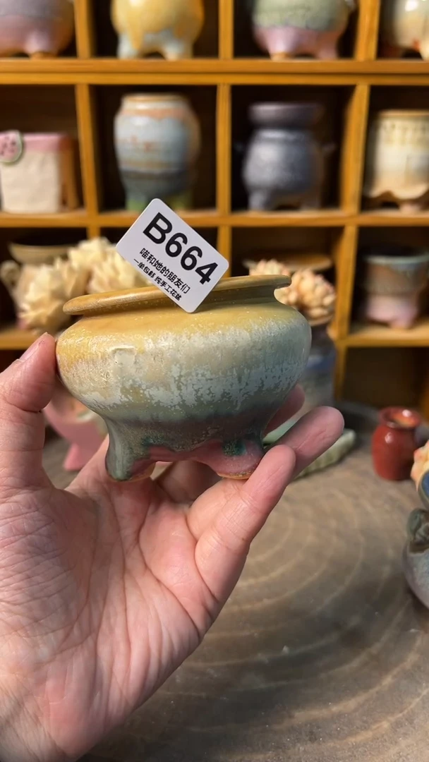 664 内口6【多肉花盆多肉盆】