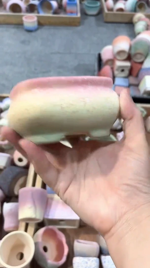 茵茵的欧气花园9*5