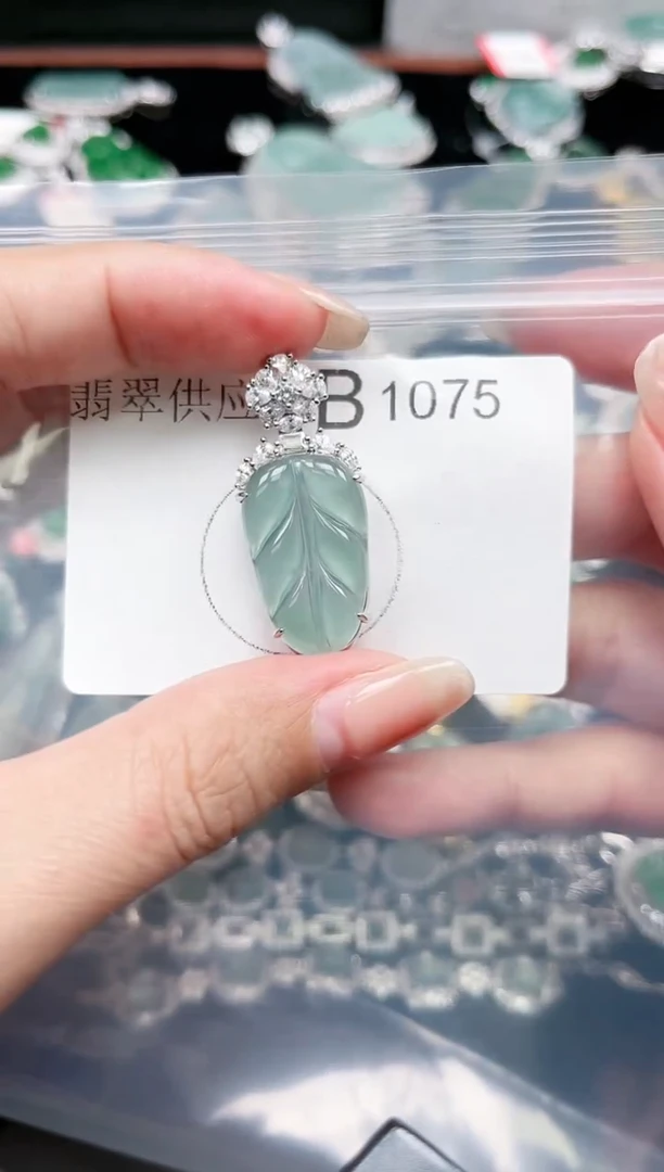 【闪购商品】翡翠颈饰未镶嵌赠皮绳1075